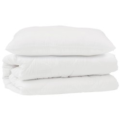 Ensemble de Duvet avec oreiller 2 pcs Blanc Microfibre 564366564366