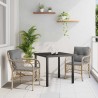 Ensemble de salle à manger pour jardin 3 pcs Beige polyrotin 564427564427