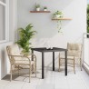 Ensemble de salle à manger pour jardin 3 pcs Beige polyrotin 564431564431