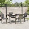 Ensemble de salle à manger pour jardin 5 pcs Gris polyrotin 564456564456