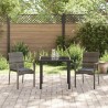 Ensemble de salle à manger pour jardin 3 pcs Gris polyrotin 564459564459