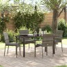 Ensemble de salle à manger pour jardin 5 pcs Gris polyrotin 564461564461