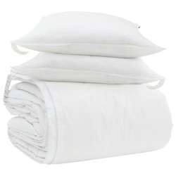Ensemble de Duvet avec oreiller 3 pcs Blanc Plume de canard 564528564528