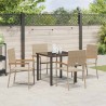 Ensemble de salle à manger pour jardin 5 pcs Beige polyrotin 564530564530