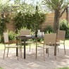 Ensemble de salle à manger pour jardin 5 pcs Beige polyrotin 564532564532