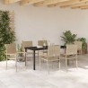 Ensemble de salle à manger pour jardin 7 pcs Beige polyrotin 564533564533