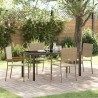 Ensemble de salle à manger pour jardin 5 pcs Beige polyrotin 564535564535