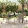 Ensemble de salle à manger pour jardin 5 pcs Gris polyrotin 564536564536