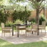 Ensemble de salle à manger pour jardin 5 pcs Beige polyrotin 564577564577