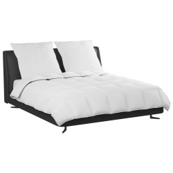 Duvet d'hiver avec oreiller 3 pcs Blanc Plume de canard 564652564652