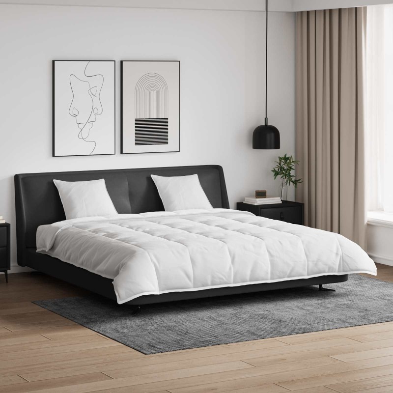 Ensemble de Duvet avec oreiller 3 pcs Blanc Plume de canard 564707564707