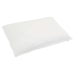 Ensemble de Duvet avec oreiller 3 pcs Blanc Plume de canard 564732564732
