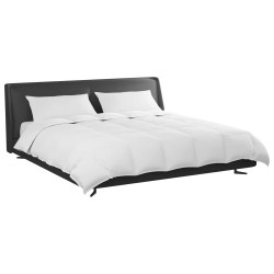 Ensemble de Duvet avec oreiller 3 pcs Blanc Plume de canard 564734564734