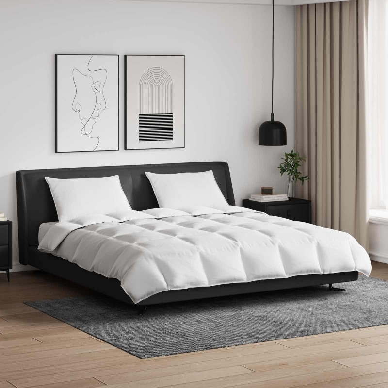 Ensemble de Duvet avec oreiller 3 pcs Blanc Plume de canard 564771564771