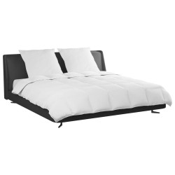 Ensemble de Duvet avec oreiller 3 pcs Blanc Plume de canard 564778564778