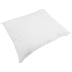 Ensemble de Duvet avec oreiller 3 pcs Blanc Plume de canard 564781564781
