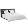 Ensemble de Duvet avec oreiller 3 pcs Blanc Plume de canard 564820564820