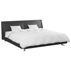 Ensemble de Duvet avec oreiller 3 pcs Blanc Plume de canard 564837564837