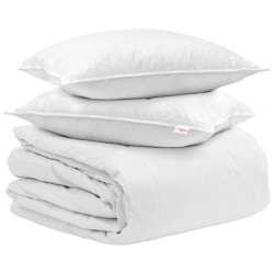 Ensemble de Duvet avec oreiller 3 pcs Blanc Plume de canard 564844564844