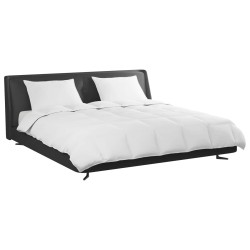 Ensemble de Duvet avec oreiller 3 pcs Blanc Plume de canard 564870564870