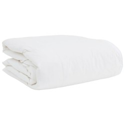 Duvet 2-en-1 avec oreiller 2 pcs Blanc Plume de canard 565469565469