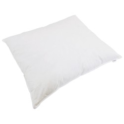 Duvet 2-en-1 avec oreiller 2 pcs Blanc Plume de canard 565470565470