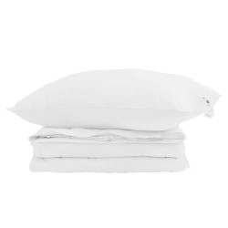 Duvet 2-en-1 avec oreiller 2 pcs Blanc Plume de canard 565472565472