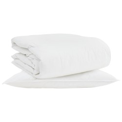 Duvet 2-en-1 avec oreiller 2 pcs Blanc Plume de canard 565474565474