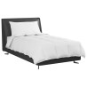 Duvet 2-en-1 avec oreiller 2 pcs Blanc Plume de canard 565474565474