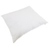 Duvet 2-en-1 avec oreiller 2 pcs Blanc Plume de canard 565507565507