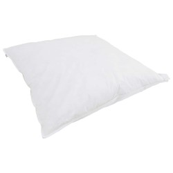 Duvet 2-en-1 avec oreiller 2 pcs Blanc Plume de canard 565540565540