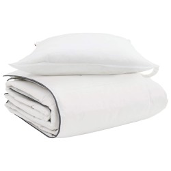 Duvet d'hiver avec oreiller 2 pcs Blanc Plume de canard 565676565676