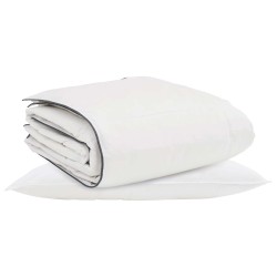 Duvet d'hiver avec oreiller 2 pcs Blanc Plume de canard 565739565739