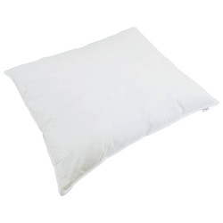 Duvet d'hiver avec oreiller 2 pcs Blanc Plume de canard 565740565740