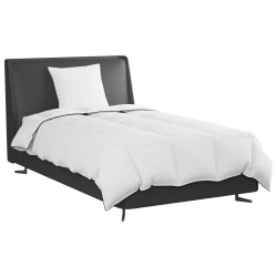 Duvet d'hiver avec oreiller 2 pcs Blanc Plume de canard 565747565747