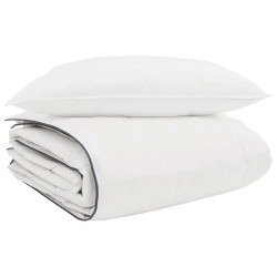 Duvet d'hiver avec oreiller 2 pcs Blanc Plume de canard 565781565781