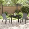 Ensemble de salle à manger pour jardin 3 pcs Gris et Noir 566031566031