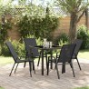 Ensemble de salle à manger pour jardin 5 pcs Noir 566032566032