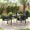 Ensemble de salle à manger pour jardin 5 pcs Noir Rotin PE 566107566107