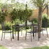 Ensemble de salle à manger pour jardin 5 pcs Noir 566113566113