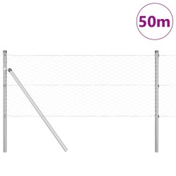 Poteau de clôture. Argenté 50 x 0,6 m (maillage 36 mm) Acier 566391566391