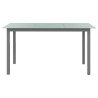 Table de jardin Gris clair 150x90x74 cm Aluminium et verre 566716566716
