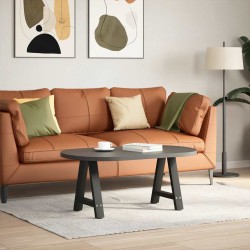 Pieds de table basse en forme de A, 2 pièces, noir, 50 x (42-43) cm, acier 567132567132