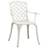 Chaises de jardin lot de 2 Aluminium coulé Blanc 567332567332