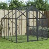 Volière anthracite 1,79x2x1,85 m aluminium 567333567333