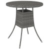 Table de jardin Gris 70x70x73 cm Résine tressée 567657567657