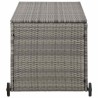 Boîte de rangement de jardin gris clair 120x65x61 cm rotin 567845567845