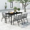 Ensemble à manger de jardin 5 pcs Gris 567867567867