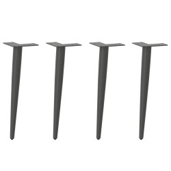 Pieds de table basse coniques 4 pièces Anthracite 30-31 cm Acier 568166568166