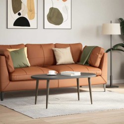 Pieds de table basse coniques 4 pièces Acier naturel 30-31 cm Acier 568167568167